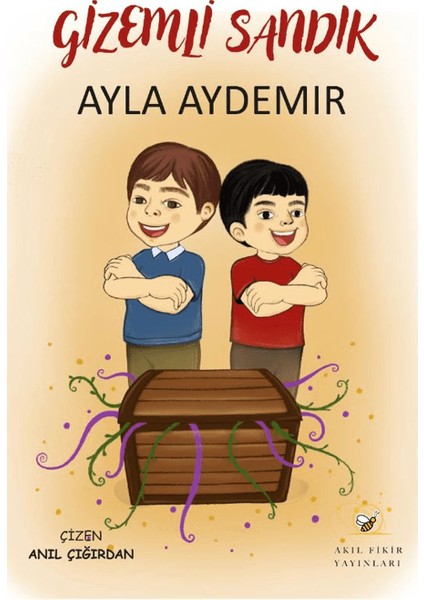 Gizemli Sandık - Ayla Aydemir