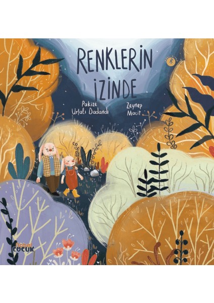 Renklerin İzinde - Pakize Urfalı Dadandı