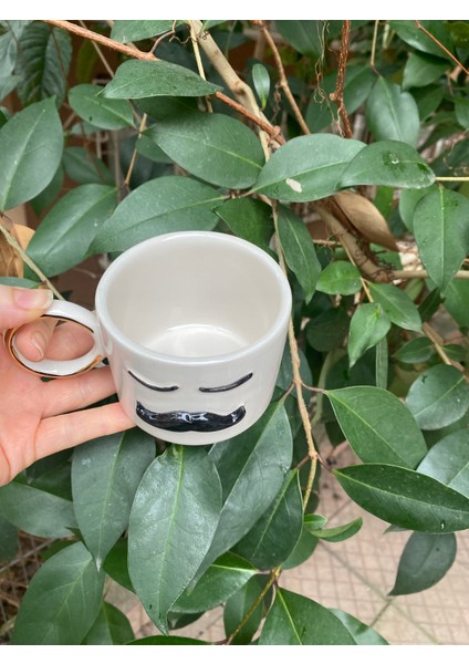 Bay Bıyık Fincan fırsatları