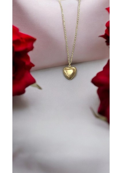 Wisteria Jewelry 3 Boyutlu Minimal Kalp Gold Renk Çelik Kolye 316L fiyatları