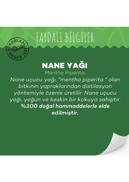 Nane Yağı 10 ml (Soğuk Sıkım)