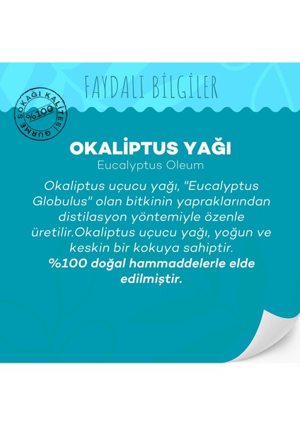 Okaliptus Yağı 10 ml (Soğuk Sıkım)
