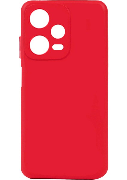 Xiaomi Redmi Note 12 Pro 5g Biye Silikon Kılıf