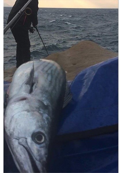 Shore Pro 40G - Palamut Lüfer Levrek Turna Için Jig Yem