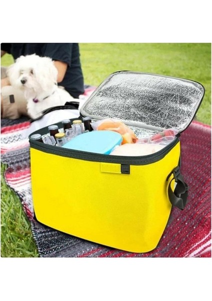 Termos Çanta - Piknik Çantası Buz Aküsü Hediyeli 40LT