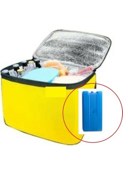 Termos Çanta - Piknik Çantası Buz Aküsü Hediyeli 40LT modelleri