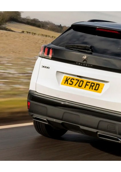 Peugeot 3008 P84 Ön Kaput ve Bagaj Abs Parlak Siyah Yazı Logo