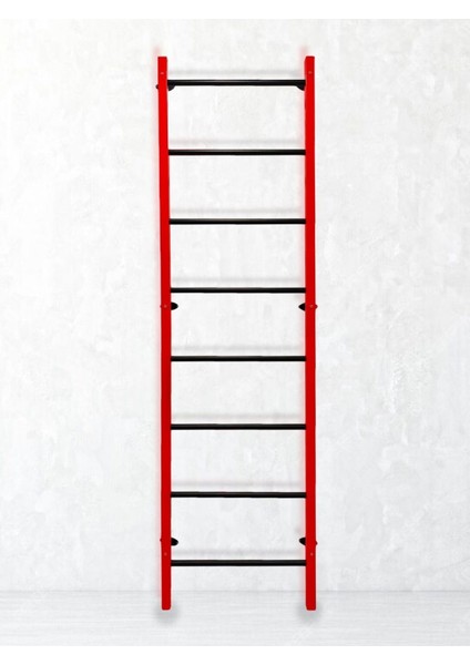 Duvara Monte Isveç Duvarı 240 cm