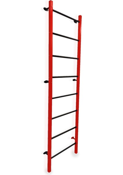 Duvara Monte Isveç Duvarı 240 cm