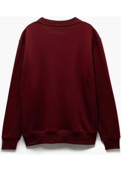 Bisiklet Yaka Dikiş Detaylı Şardonlu Pamuk Karışımlı Basic Sweatshirt fiyatları
