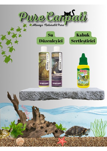 Kaplumbağa Seti(Su Düzenleyici)