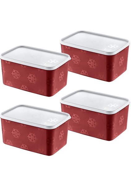 4'Lü Set No Frost Saklama Kabı Carmen 2600 ML