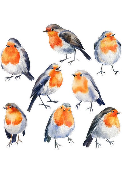 Kuş Çıkartmaları Yurt Mutfak Için Çok Yönlü Cam Çıkartmalar (Yurt Dışından)