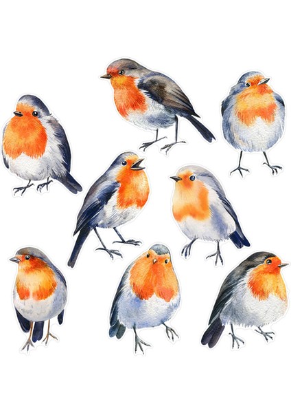 Kuş Çıkartmaları Yurt Mutfak Için Çok Yönlü Cam Çıkartmalar (Yurt Dışından) fiyatları