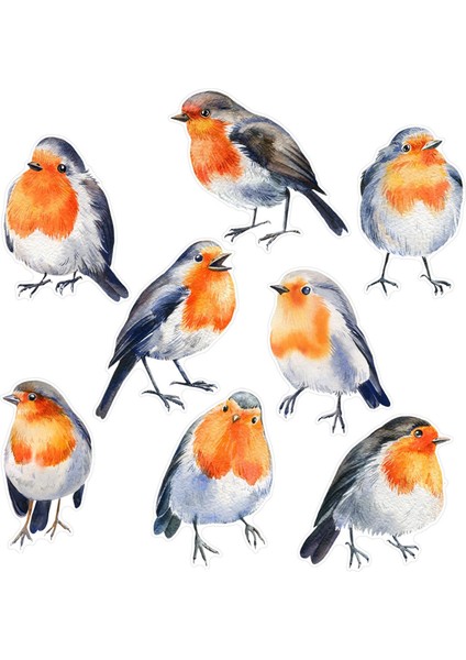 Kuş Çıkartmaları Yurt Mutfak Için Çok Yönlü Cam Çıkartmalar (Yurt Dışından) modelleri