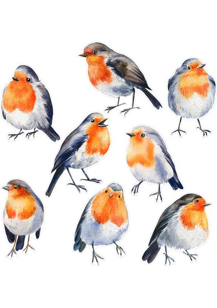 Kuş Çıkartmaları Yurt Mutfak Için Çok Yönlü Cam Çıkartmalar (Yurt Dışından) fırsatları