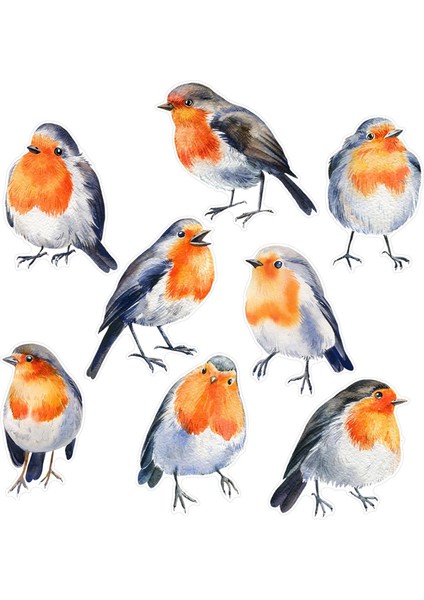 Kuş Çıkartmaları Yurt Mutfak Için Çok Yönlü Cam Çıkartmalar (Yurt Dışından) indirimleri