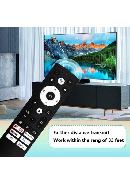 ERF3S90H Hisense Smart Tv Için Uzaktan Kumandayı Değiştirin 50A6H 50A65H 43A6H 43A65H (Yurt Dışından) modelleri