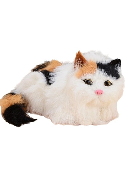 Kitty Doldurulmuş Dekoratif Şkinler Için Ğum Günü Hediyeleri Çok (Yurt Dışından)