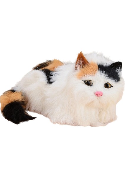 Kitty Doldurulmuş Dekoratif Şkinler Için Ğum Günü Hediyeleri Çok (Yurt Dışından)