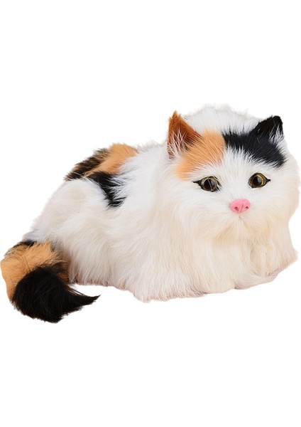 Kitty Doldurulmuş Dekoratif Şkinler Için Ğum Günü Hediyeleri Çok (Yurt Dışından)