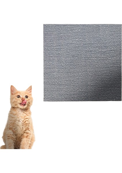 Kedi Tırmalama Tahtası Kedi Tırmalama Minderi Halı Aşınmaya Dalı Enkaz Bırakmayan Saf Doğal Süper Büyük Kedi Kumu Kedi Oyuncakları (Yurt Dışından)