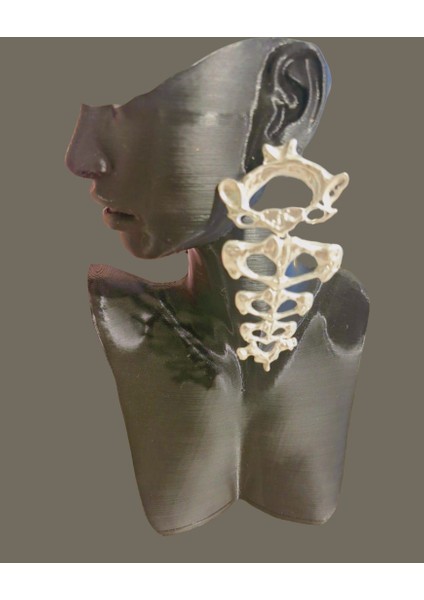 Çelik Silver Marka Model Küpe fiyatları