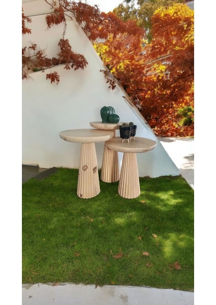 Wood Wooden Ahşap 3’Lü Set Fitilli Mantar Yan Sehpa Modern Fiskos / Çiçeklik / Zigon Sehpa fiyatları