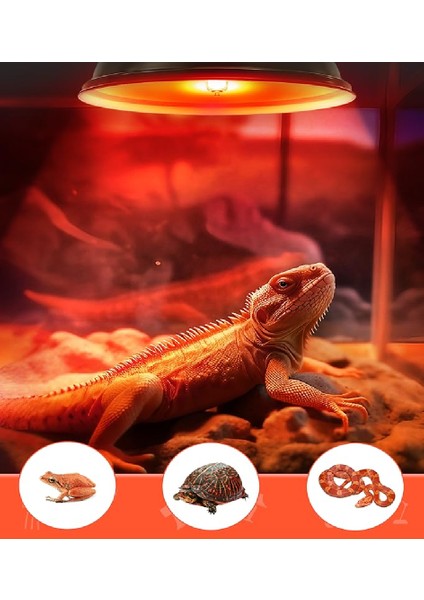 100 Watt Kızılötesi / Kırmızı Işık Isıtıcı Lambalar Sürüngenler, Amfibiler Ve Kuşlar Için