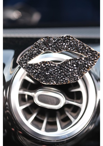 Siyah Dudak Klima Koku