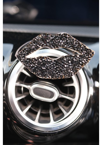 Siyah Dudak Klima Koku fırsatları