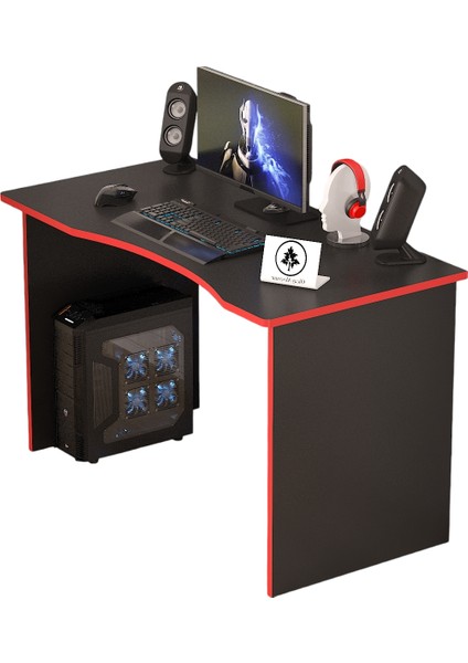 Oyuncu Masası Gamer Masası 120X60 cm modelleri