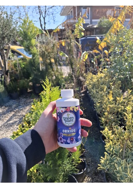 Greenplant Orkide Bitki Besini fiyatları