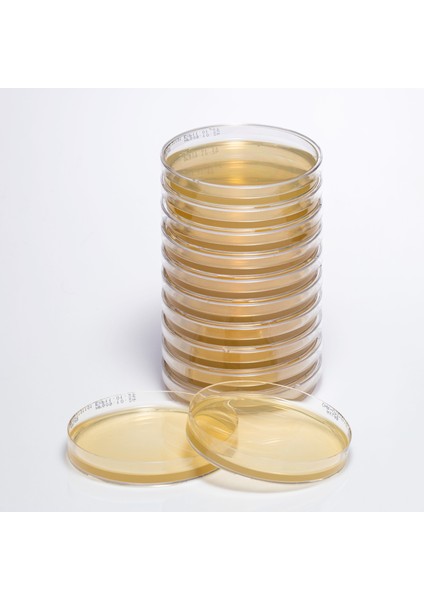 Hazır Chromogenıc Campylobacter Besiyeri