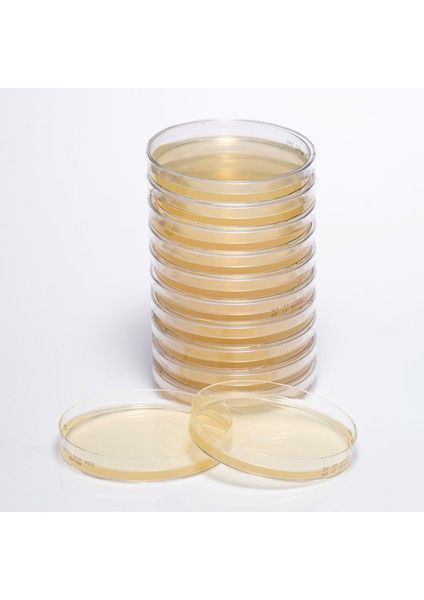 Hazır Sabouraud Dextrose + Cycloheximide Besiyeri