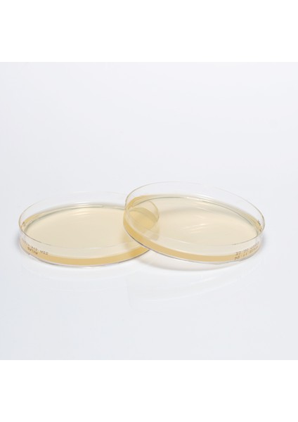 Hazır Sabouraud Dextrose + Cycloheximide Besiyeri