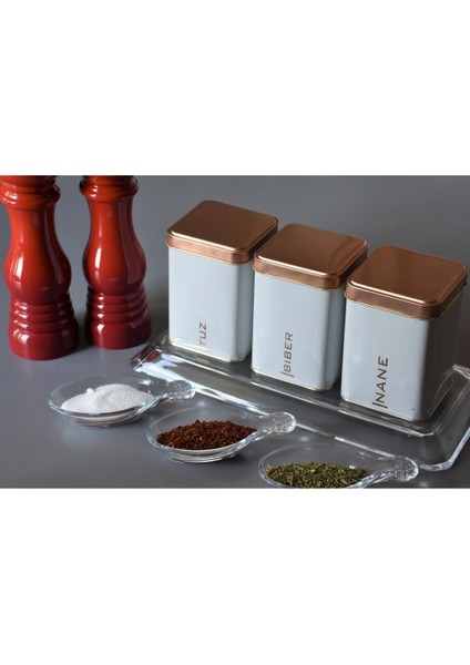 3'lü Köşeli Beyaz Metal Kutu Baharat Seti - 500 ml