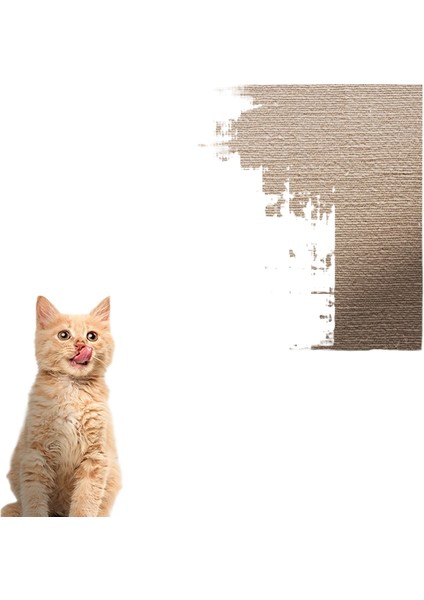 Kedi Tırmalama Tahtası Kedi Tırmalama Minderi Halı Aşınmaya Dalı Enkaz Bırakmayan Saf Doğal Süper Büyük Kedi Kumu Kedi Oyuncakları (Yurt Dışından)