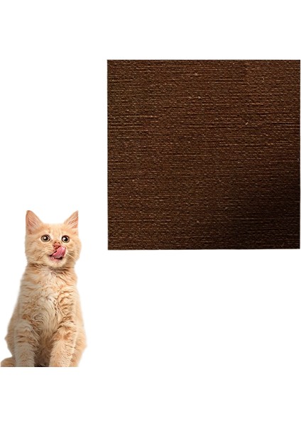 Kedi Tırmalama Tahtası Kedi Tırmalama Minderi Halı Aşınmaya Dalı Enkaz Bırakmayan Saf Doğal Süper Büyük Kedi Kumu Kedi Oyuncakları (Yurt Dışından)