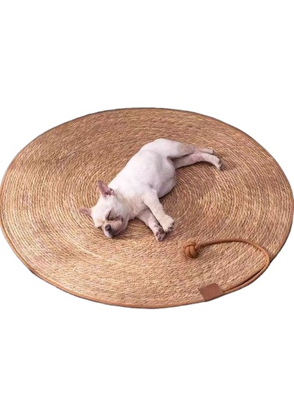 Kalınlaştırılmış Pençe Bileme ve Çizilmeye Dalı Kedi Tırmalama Matı (Yurt Dışından)