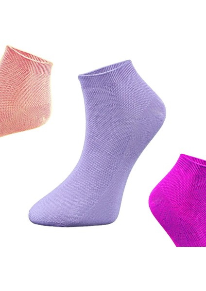 Kadın Patik Çorap Pamuk 3'lü Renk Şeftali-Mor-Lila