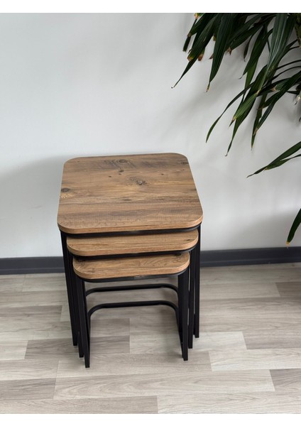 Efra Tekerlekli Zigon Sehpa Takımı Salon Oturma Salonu Ofis