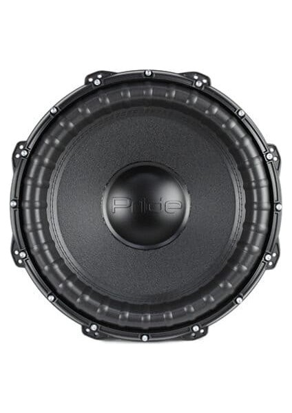 M16-12 30 cm Spl Subwoofer 1600RMS
