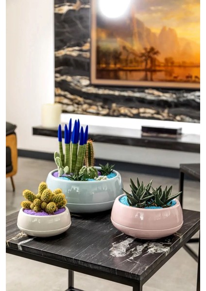 Dekoratif Aranjman Saksı Kaktüs Sukulent Çiçek Saksısı 0,86 Lt fırsatları