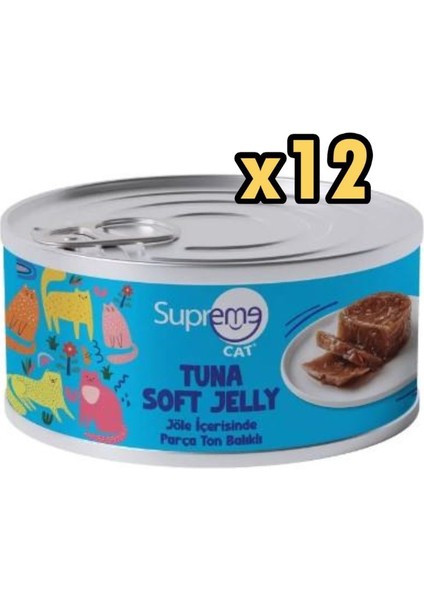 Cat Parça Etli Ton Balikli Yas Kedi Mamasi 85 gr x 12 Adet
