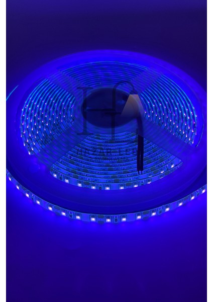 12 Volt Uv (Ultraviyole) Şerit LED 2835 Smd Metrede 120 LED Black Light 5 Metre fırsatları