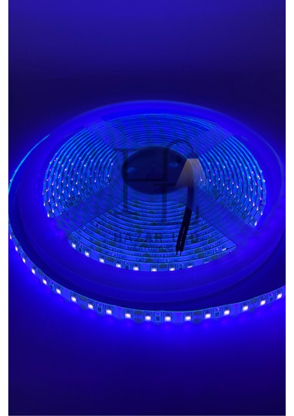 12 Volt Uv (Ultraviyole) Şerit LED 2835 Smd Metrede 120 LED Black Light 5 Metre indirimleri