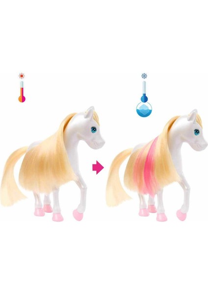 HNT67 Barbie A Touch Of Magic Chelsea ve Pegasus Oyun Seti 1 - 30 Kasım Erkol Özel Kampanya Fiyatı