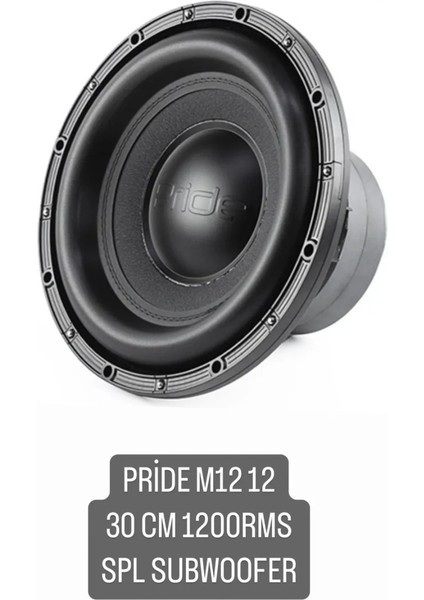 M12-12 30 cm Spl Subwoofer 1200RMS