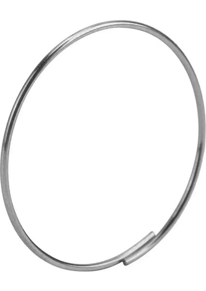 Kanca Tarzı Olmadan 5 Adet Bisiklet Çelik Freehub Kaset Sürücüsü Pawl Yayı Freehub Yay Döngüsü Hub Yayı Dayanak Noktası Için Kancasız F0F1F3F5XLKT (Yurt Dışından)